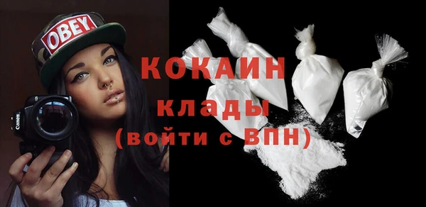 сатива Кодинск