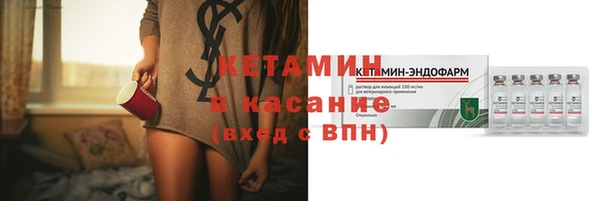 сатива Кодинск