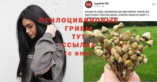 МДМА Козельск